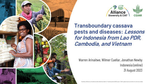 Transboundary cassava pests and diseases: Lessons for Indonesia from Lao PDR, Cambodia, and Vietnam