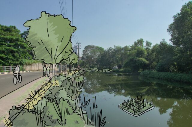 Urban wetlands and the built environment