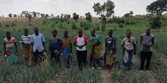 Youth in agribusiness at their onion farm in Lilongwe.