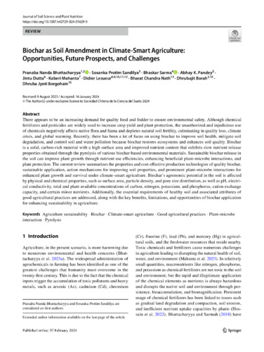 Biochar as soil amendment in climate-smart agriculture: Opportunities, future prospects, and challenges