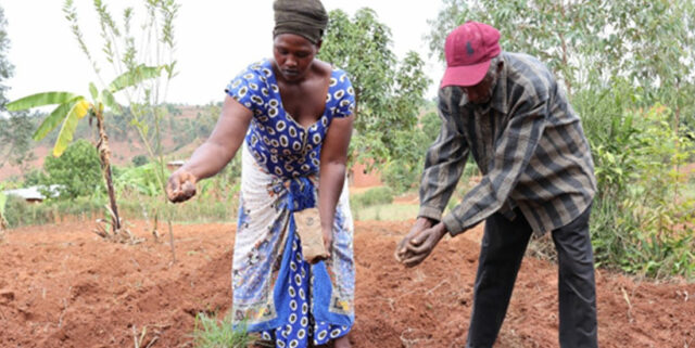 Why gender equality and social inclusion matter for AID-I-GLR in scaling agricultural innovations