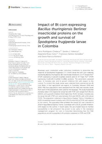 Impact of Bt corn expressing bacillus thuringiensis berliner insecticidal proteins on the growth and survival of spodoptera frugiperda larvae in Colombia