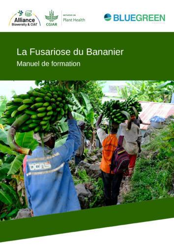 La Fusariose du bananier: Manuel de formation