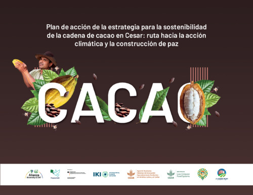 Plan de acción de la estrategia para la sostenibilidad de la cadena de cacao en Cesar: ruta hacia la acción climática y la construcción de paz