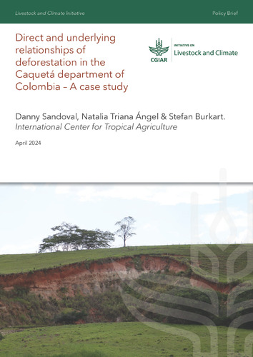 Direct and underlying relationships of deforestation in the Caquetá department of Colombia