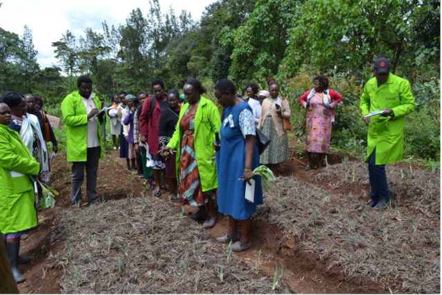 Emily Yebei leads field day activity on growing a diversified range of crops using raised beds. Photo: M.Spinelli/ ILRI.