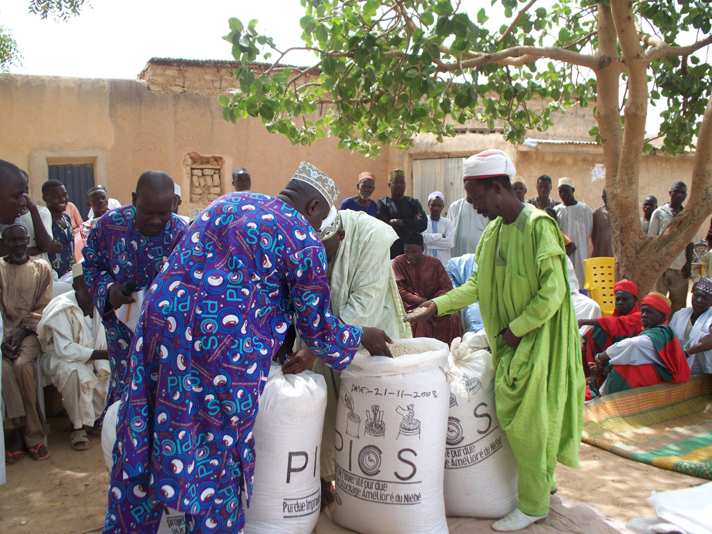 Evidence from farmers adopting the use of PICS bag. Cowpea Storage (PICS) bag for the period of six (6) months, free of pest infestation.