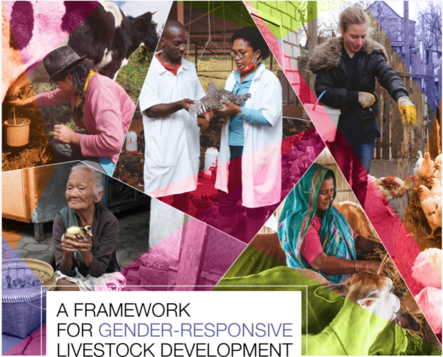 Title page for 'A Framework for Gender Responsive Livestock Development'. Photo by ILRI.