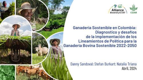 Ganadería sostenible en Colombia: Diagnostico y desafíos de la implementación de los lineamientos de política para la ganadería bovina sostenible 2022-2050