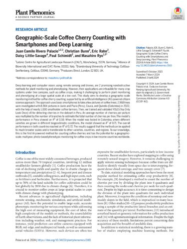 Geographic-scale coffee cherry counting with smartphones and deep learning