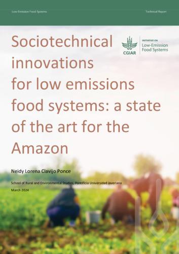 Sociotechnical innovations for low emissions food systems: A state of the art for the Amazon