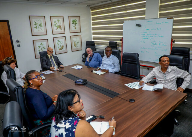 Some IITA Unit representatives during the introductory meeting, listening to IP Consultant, Remy Bitoun online.