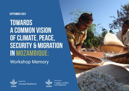 Towards a common vision of climate, peace, security and migration in Mozambique - Workshop Memory