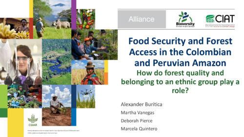 Food security and forest access in the Colombian and Peruvian Amazon- How do forest quality and belonging to an ethnic group play a role