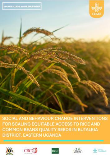 Stakeholder workshop brief - Social and behaviour change intervention for scaling equitable access to rice and common beans quality seed in Butaleja District Eastern Uganda