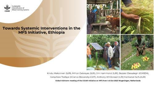 Towards Systemic Interventions in the MFS Initiative, Ethiopia