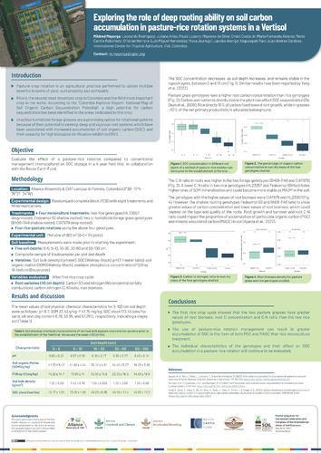 Exploring the role of deep rooting ability on soil carbon accumulation in pasture-rice rotation systems in a Vertisol