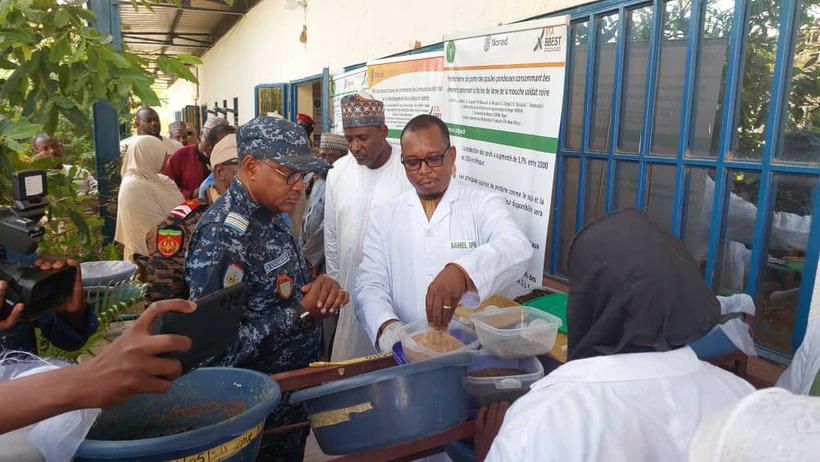 Dr Laouali, explaining the BSF technology to the Minister of Agriculture and Livestock at the BSF rearing unit at CERRA Maradi.