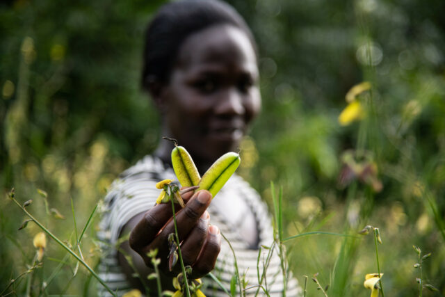 a research agenda for global rural development