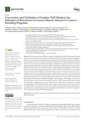 Conversion and validation of uniplex SNP markers for selection of resistance to Cassava Mosaic Disease in Cassava breeding programs