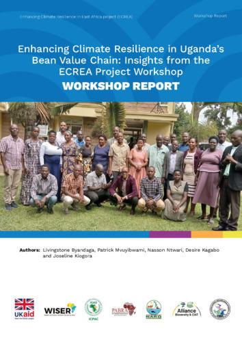 Enhancing climate resilience in Uganda's bean value chain: Insights from the ECREA project workshop: Workshop report