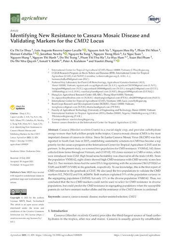 Identifying new resistance to Cassava Mosaic Disease and validating markers for the CMD2 locus
