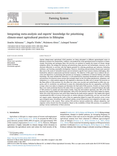 Integrating meta-analysis and experts’ knowledge for prioritizing climate-smart agricultural practices in Ethiopian