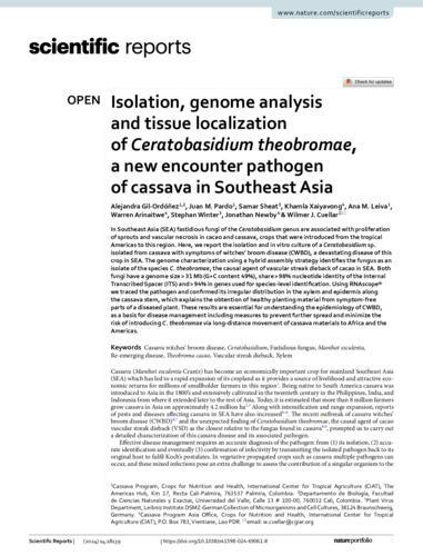 Isolation, genome analysis and tissue localization of ceratobasidium theobromae, a new encounter pathogen of cassava in Southeast Asia