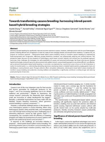 Towards transforming cassava breeding - Harnessing inbred-parent-based hybrid breeding strategies