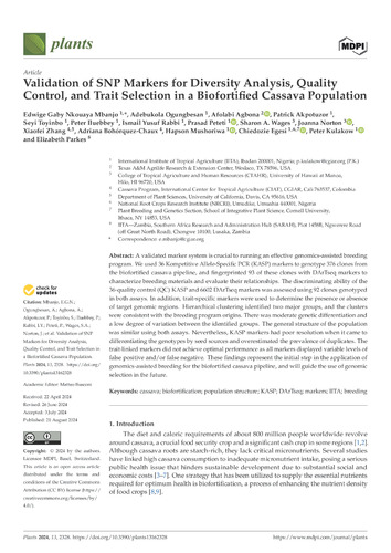 Validation of SNP markers for diversity analysis, quality control, and trait selection in a biofortified cassava population