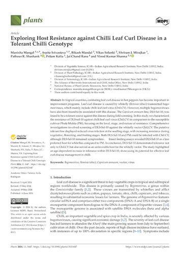Exploring host resistance against chilli leaf curl disease in a tolerant chilli genotype