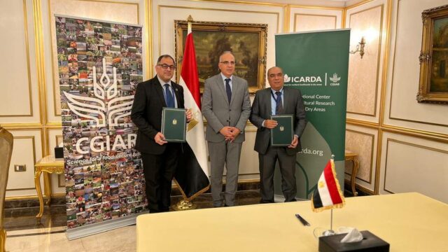 ICARDA and Egypt Unite with New Agreement to Boost Research on Sustainable Water Management