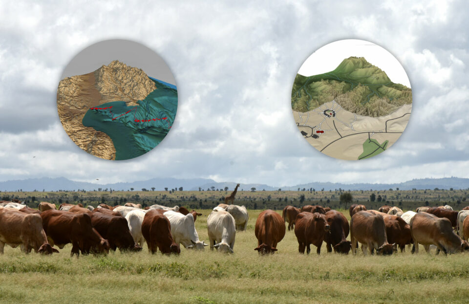 Fully digital ranch at ILRI in Kenya to transform livestock research ...
