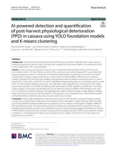 AI-powered detection and quantification of Post-harvest Physiological Deterioration (PPD) in cassava using YOLO foundation models and K-means clustering