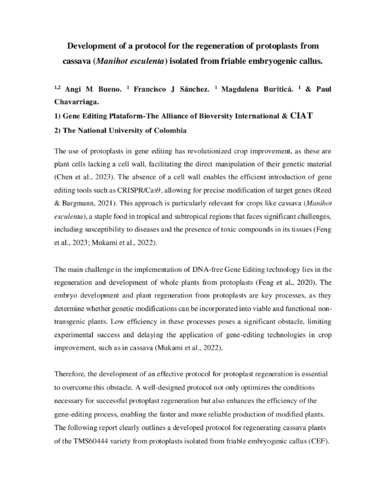 Development of a protocol for the regeneration of protoplasts from cassava (Manihot esculenta) isolated from friable embryogenic callus.
