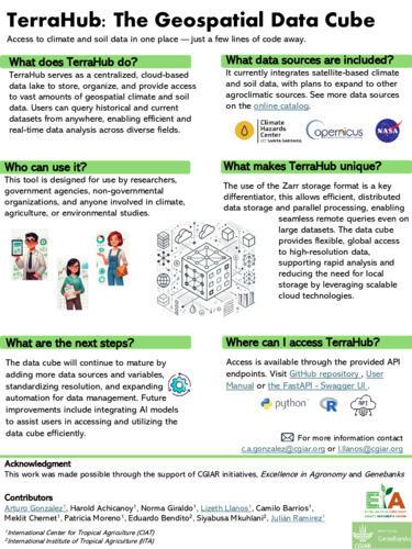 TerraHub: The geospatial data cube
