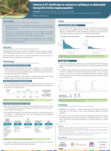 Advances in QTL identification for resistance to spittlebug in an allotetraploid interspecific Urochloa mapping population