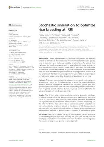 Stochastic simulation to optimize rice breeding at IRRI