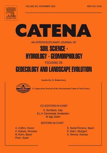A critical analysis of soil (and water) conservation practices in the Ethiopian Highlands: implications for future research and modeling