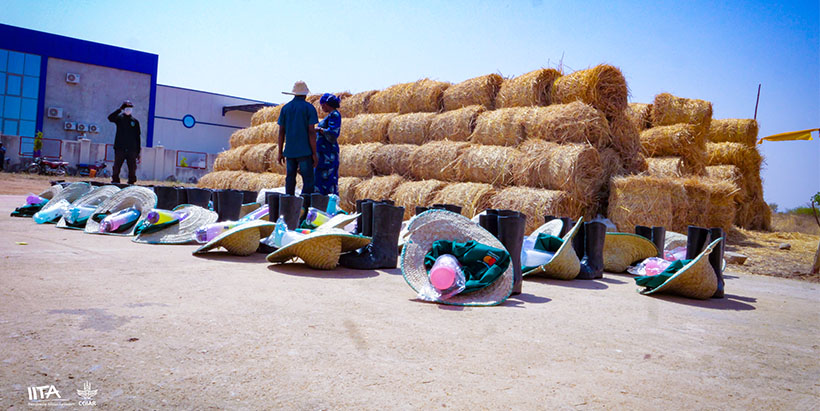 How I-Youth, Agrihub Nigeria projects are supporting youths to modernize dairy farming in Adamawa State