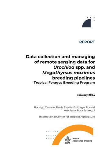 Data collection and managing of remote sensing data for Urochloa spp. and Megathyrsus maximus breeding pipelines