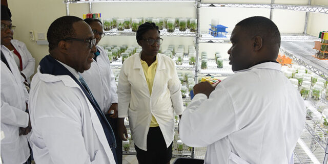 Dr Simeon Ehui exploring the Tissue Culture Lab