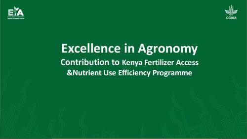 Excellence in Agronomy: Contribution to Kenya fertilizer access & nutrient use efficiency programme