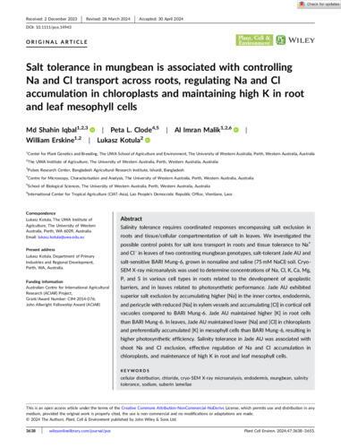 Salt tolerance in mungbean is associated with controlling Na and Cl transport across roots, regulating Na and Cl accumulation in chloroplasts and maintaining high K in root and leaf mesophyll cells
