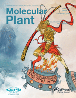 Unleashing strategies to mitigate methane emissions in rice fields and livestock system