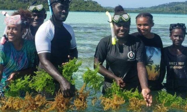 “I’m ready to return to my village now, equipped with practical knowledge and hands-on experience that goes far beyond what I learned in the classroom” said Janine , one of 16 young Solomon Islanders who took part in a recent internship program led by WorldFish.