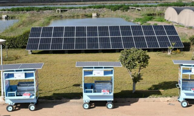 Portable Solar Coolers to Open New Doors for Women in Aquaculture