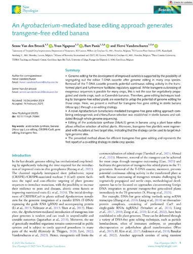 An Agrobacterium‐mediated base editing approach generates transgene‐free edited banana
