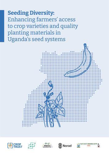 Seeding diversity : enhancing farmers’ access to crop varieties and quality planting materials in Uganda’s seed systems