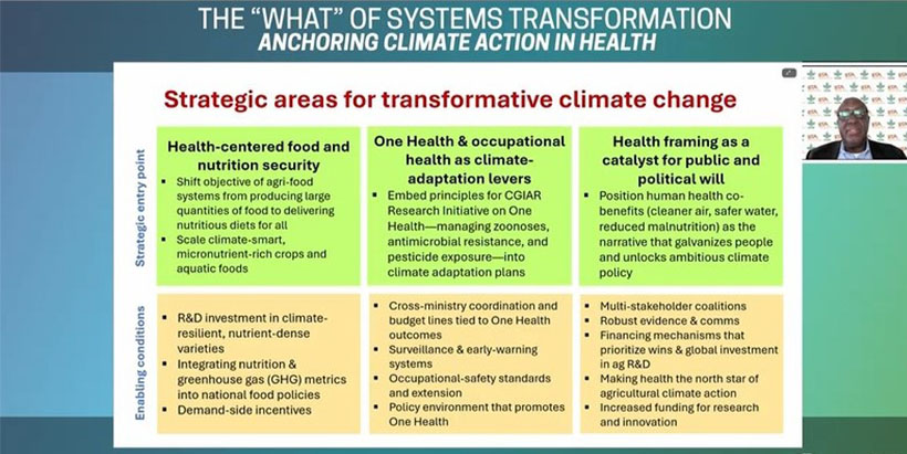 IITA DG shares insight at NAM workshop on health-centered climate action